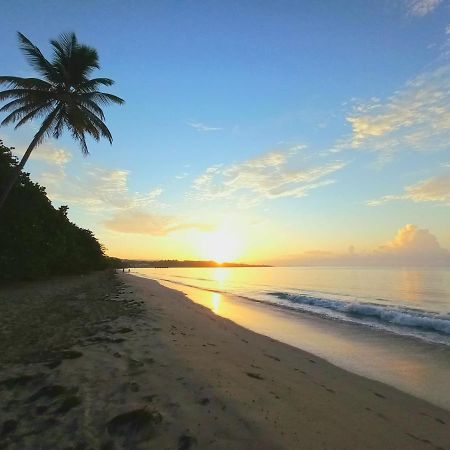 Villa Kanelle, F4, commerces et plage à 100m, Le Diamant Exterior foto