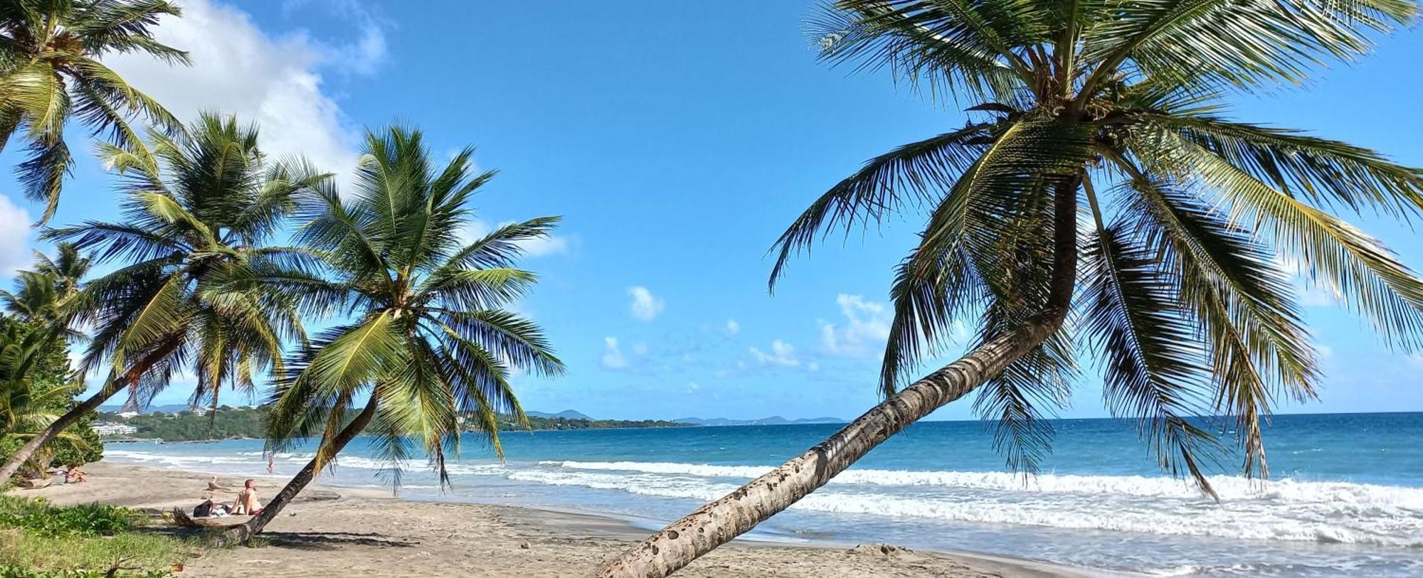 Villa Kanelle, F4, commerces et plage à 100m, Le Diamant Exterior foto